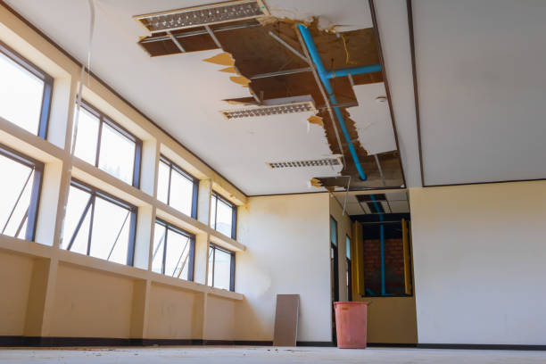 Best Ceiling water damage repair  in South Euclid, OH