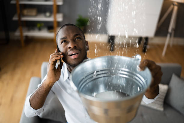 Best Water damage cleanup near me  in South Euclid, OH