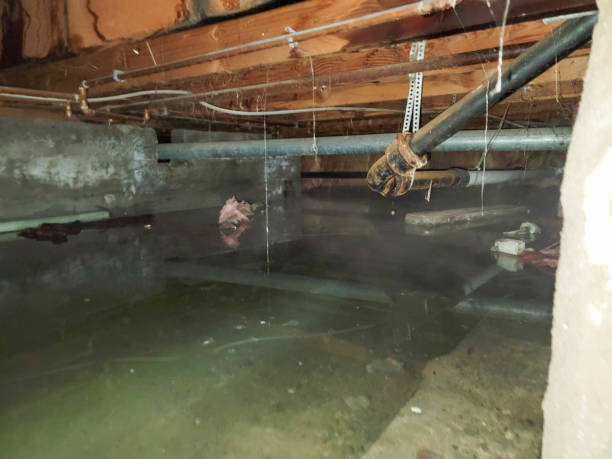 Best Water damage restoration near me  in South Euclid, OH