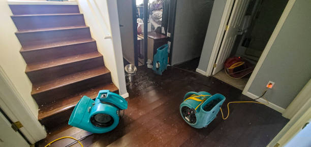 Best Sewage cleanup and water damage restoration  in South Euclid, OH