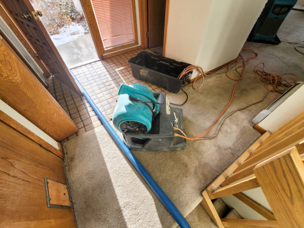 Best Mold removal after water damage  in South Euclid, OH
