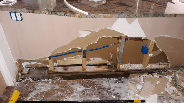 Best Commercial water damage restoration  in South Euclid, OH