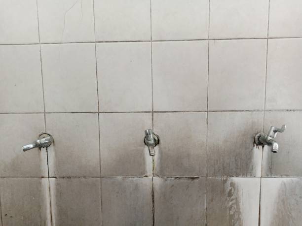 Best Professional water damage repair  in South Euclid, OH