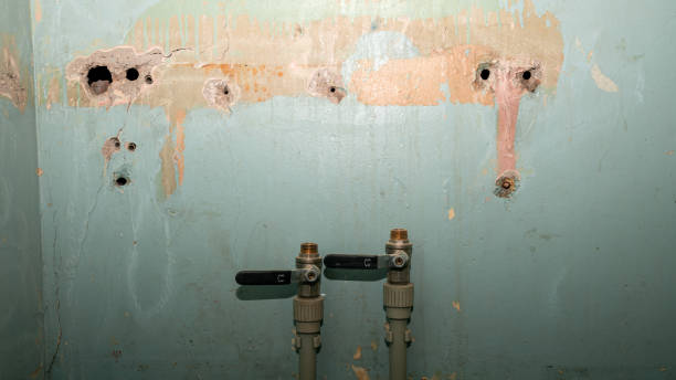 Best Flood restoration services  in South Euclid, OH