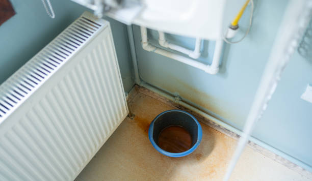 Best Local water damage restoration  in South Euclid, OH