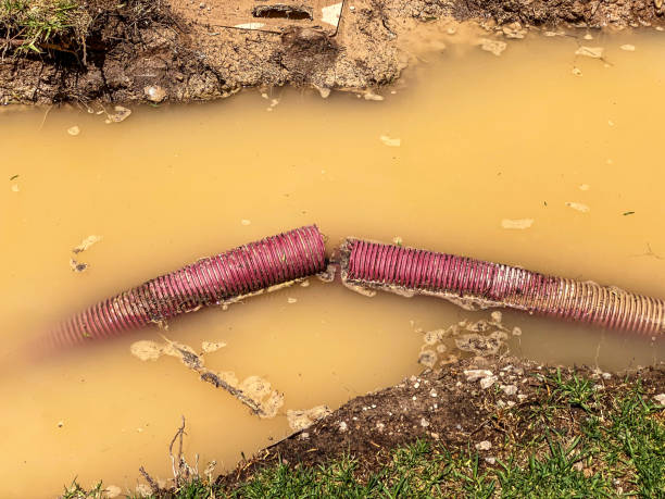 Best Flood restoration services  in South Euclid, OH