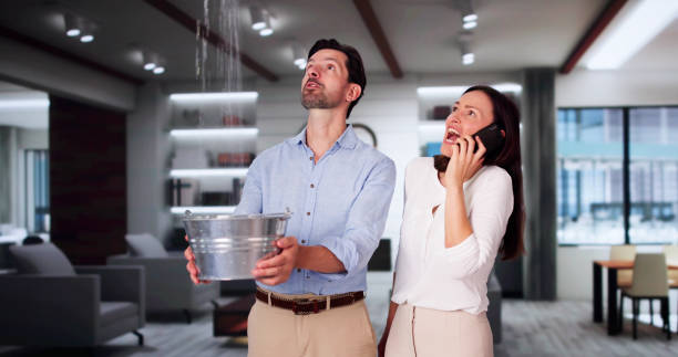 Best Carpet water damage restoration  in South Euclid, OH
